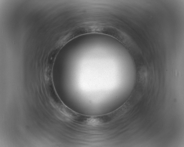 X0000081390218200701182240