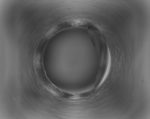 X0000081390219200701182240