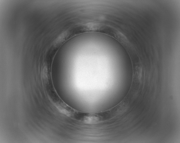 X0000081390220200701182240