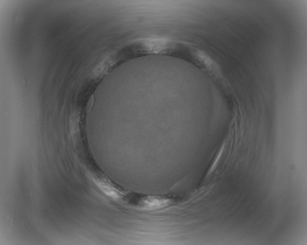 X0000081390221200701182240