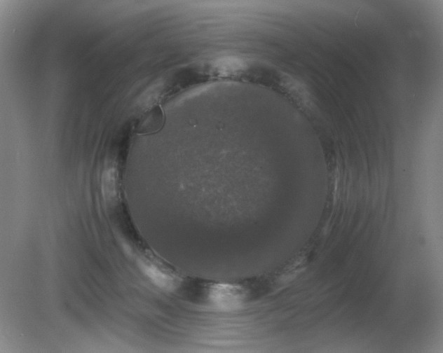 X0000081390222200701182240