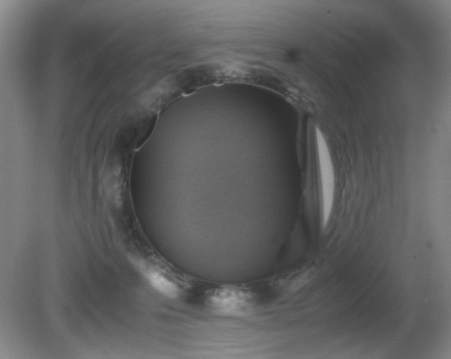 X0000081390223200701182240