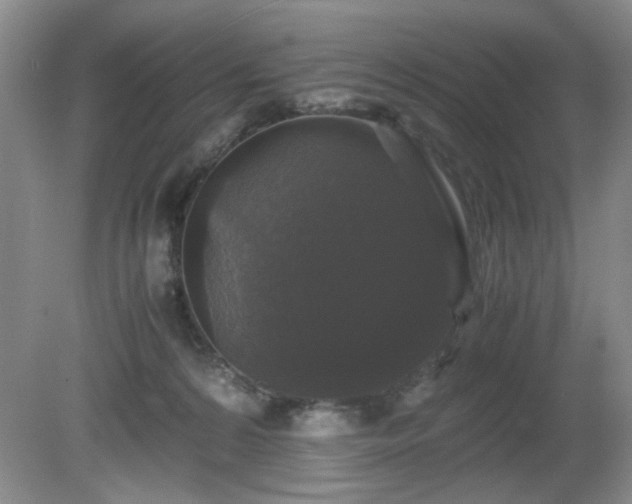 X0000081390224200701182240