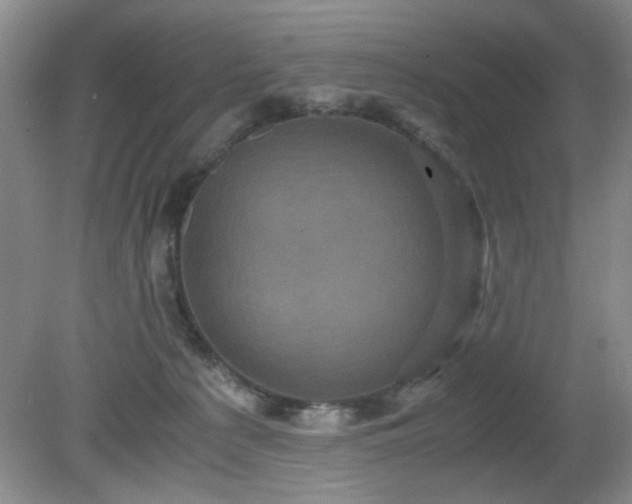 X0000081390225200701182240