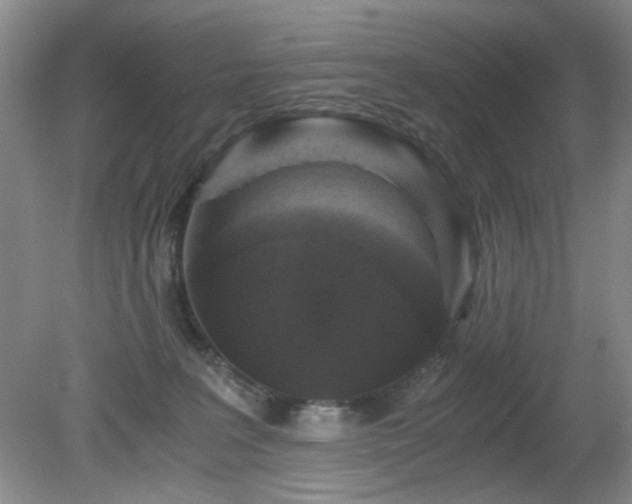 X0000081390227200701182240