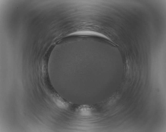 X0000081390228200701182240