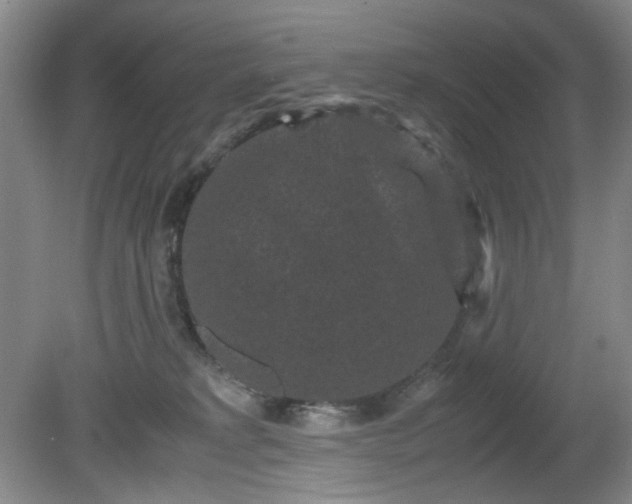 X0000081390229200701182240