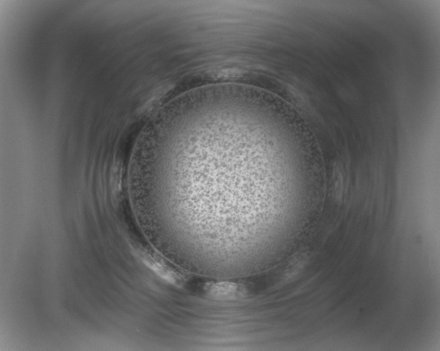 X0000081390230200701182240