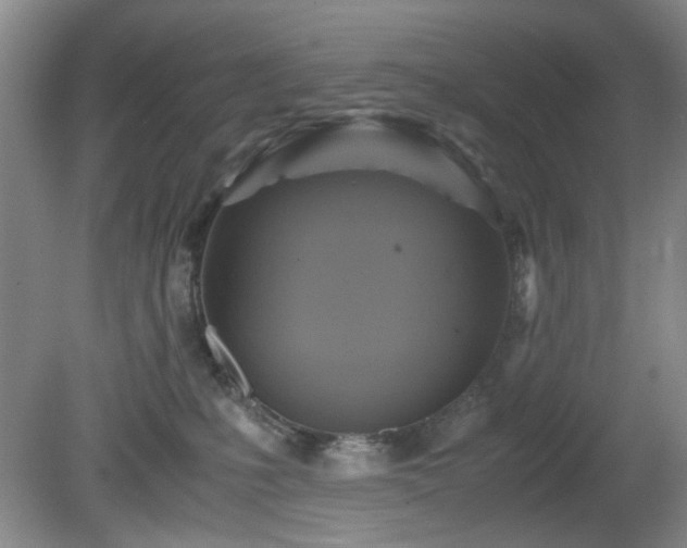 X0000081390231200701182240