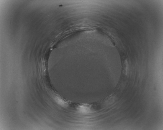 X0000081390232200701182240