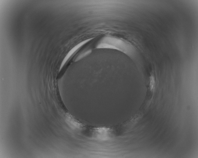 X0000081390233200701182240