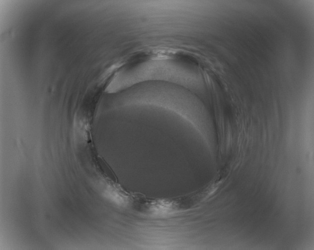 X0000081390235200701182240