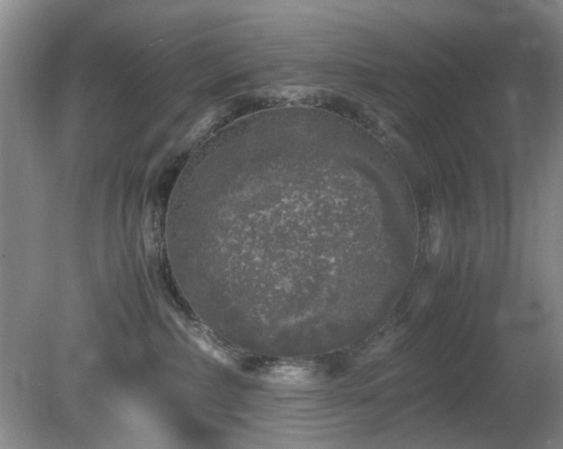 X0000081390236200701182240