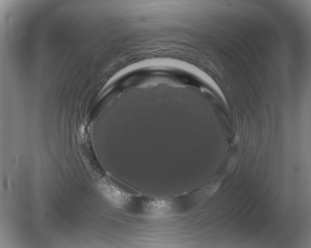 X0000081390237200701182240