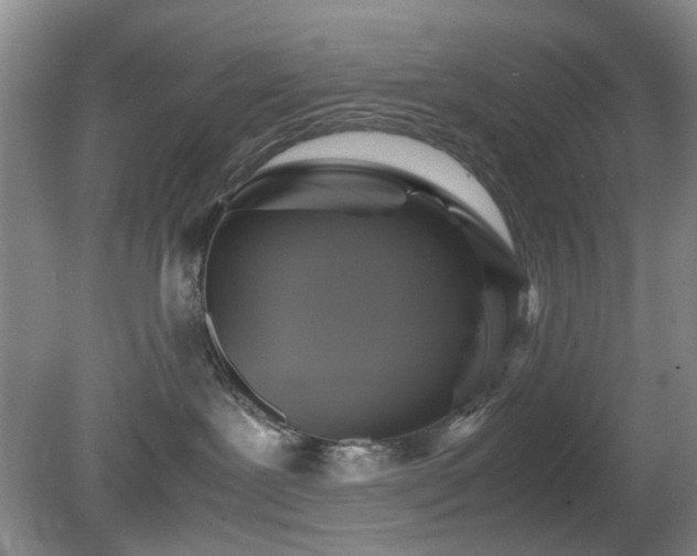 X0000081390239200701182240