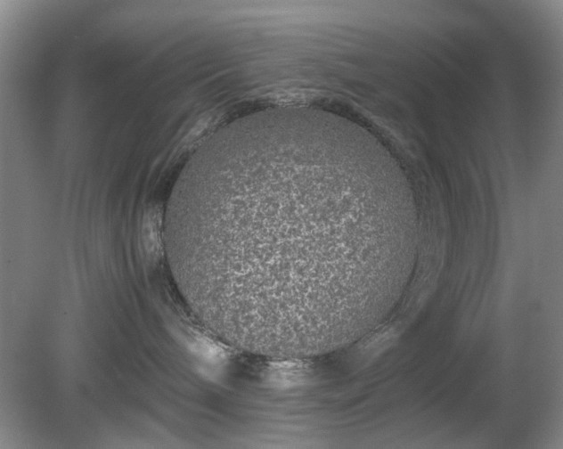 X0000081390240200701182240