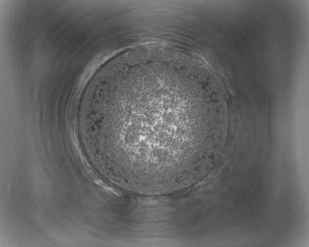 X0000081390241200701182239