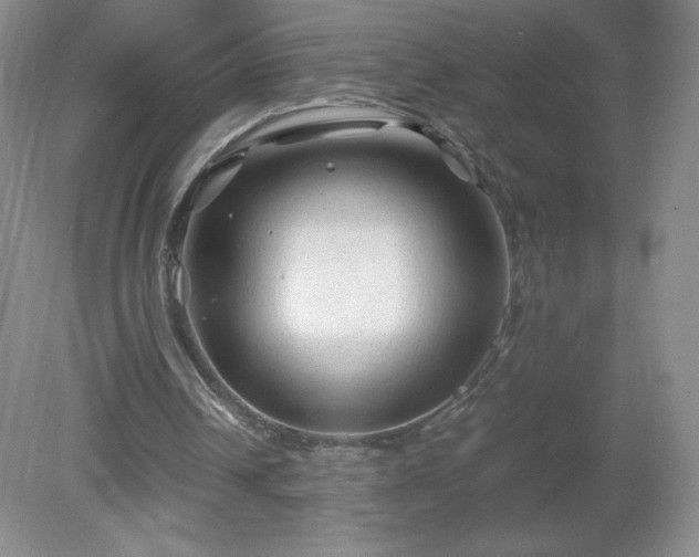 X0000081390242200701182239