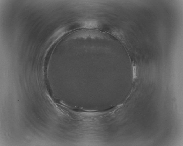 X0000081390243200701182239