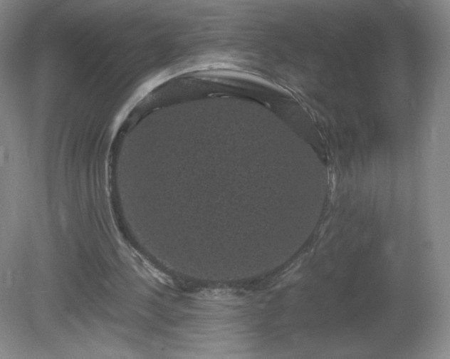 X0000081390244200701182239