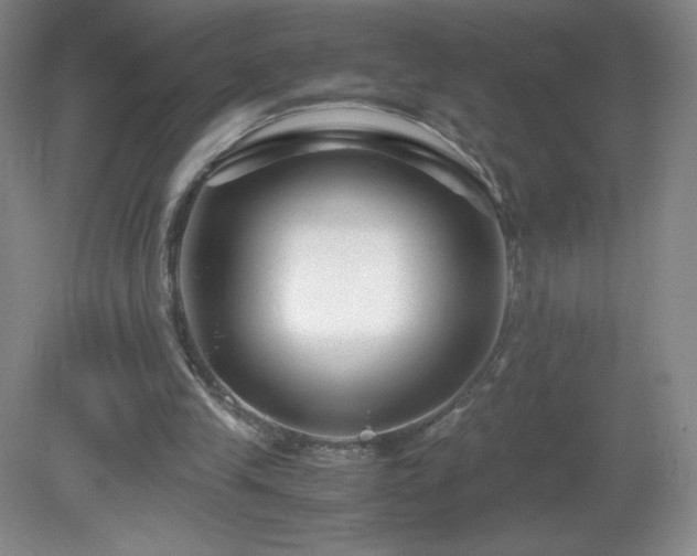 X0000081390245200701182239