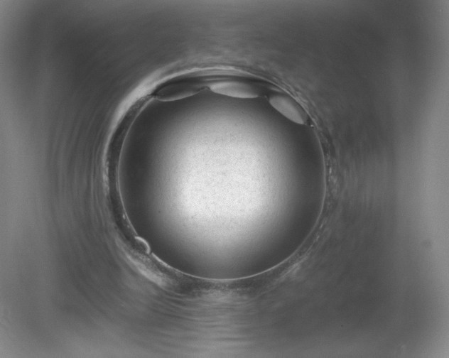 X0000081390246200701182239