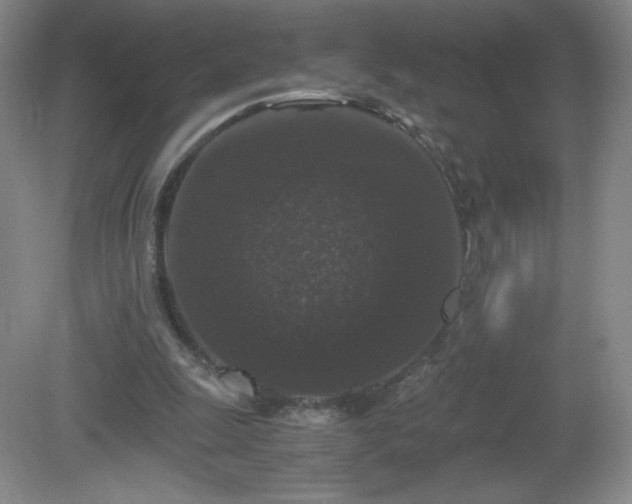 X0000081390247200701182239