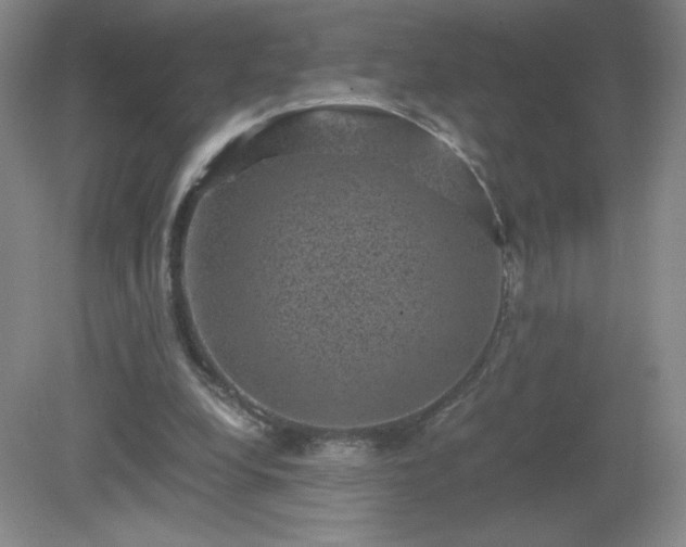 X0000081390248200701182239