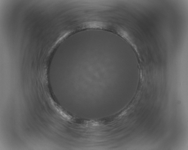 X0000081390249200701182239