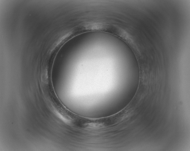 X0000081390251200701182239