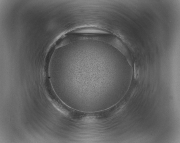 X0000081390252200701182239