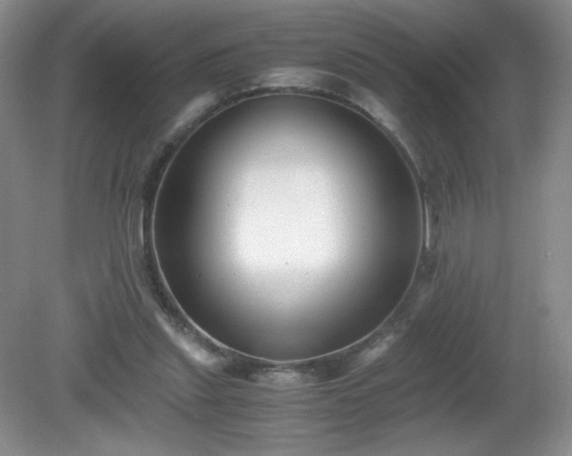 X0000081390253200701182239