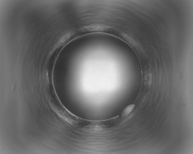 X0000081390254200701182239