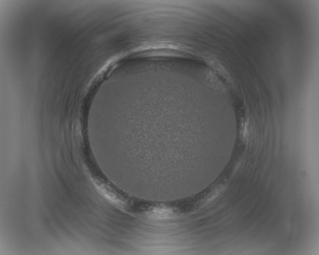 X0000081390256200701182239