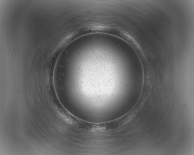 X0000081390257200701182240