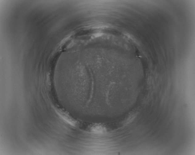 X0000081390258200701182240