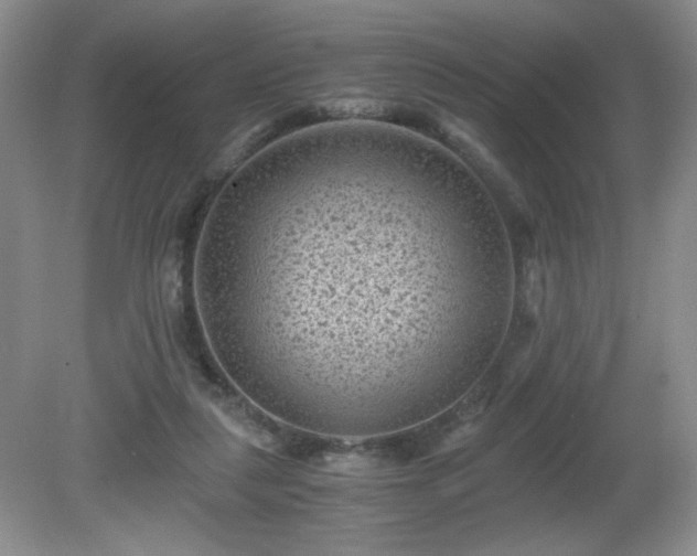 X0000081390259200701182240