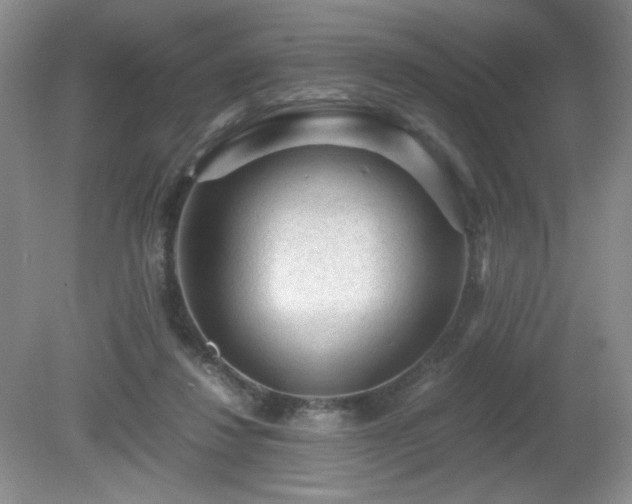 X0000081390260200701182240