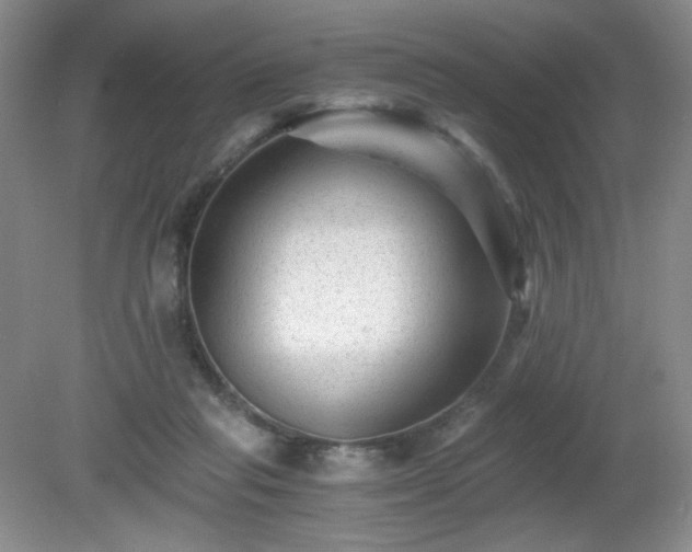 X0000081390261200701182240