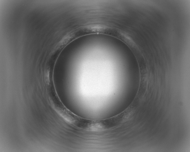 X0000081390262200701182240