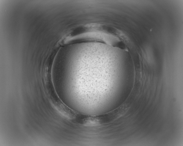 X0000081390263200701182240