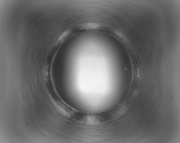 X0000081390264200701182240