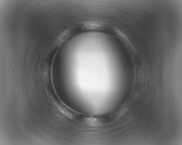 X0000081390265200701182240