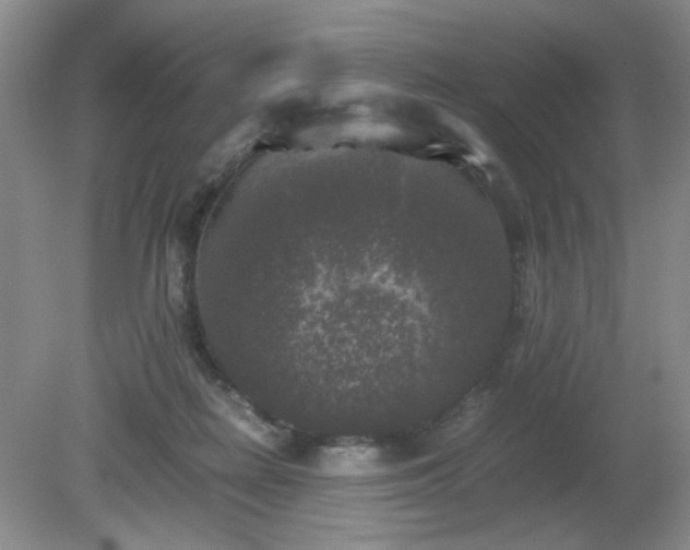 X0000081390266200701182240