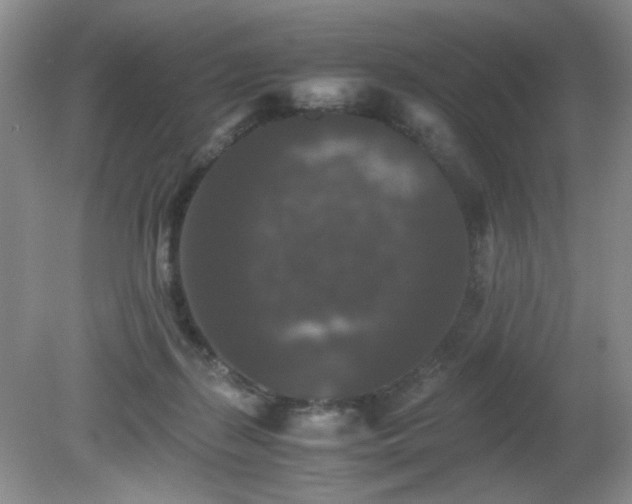 X0000081390267200701182240