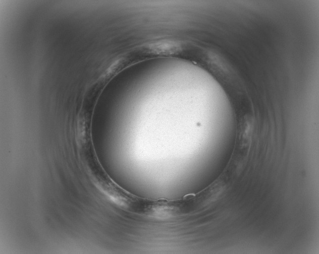 X0000081390268200701182240