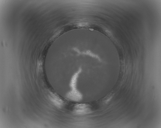 X0000081390269200701182240