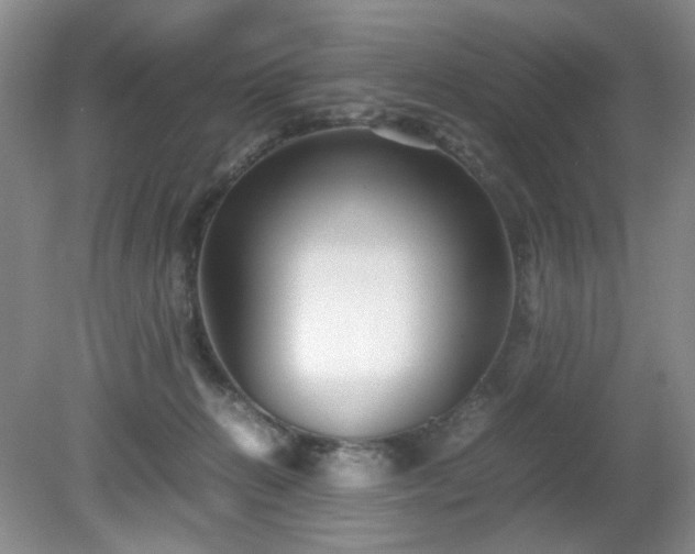 X0000081390270200701182240