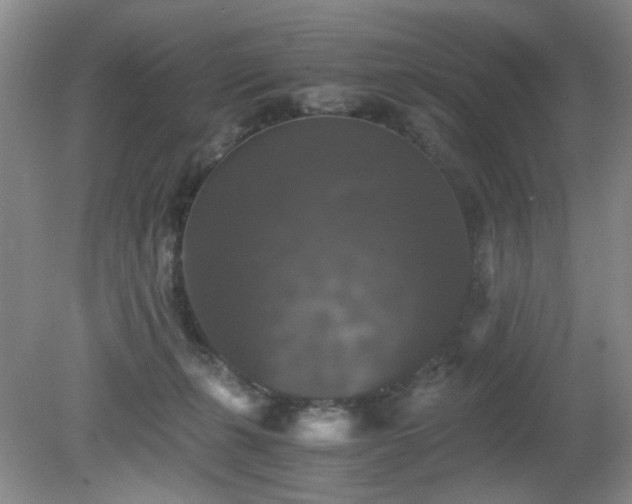 X0000081390271200701182240