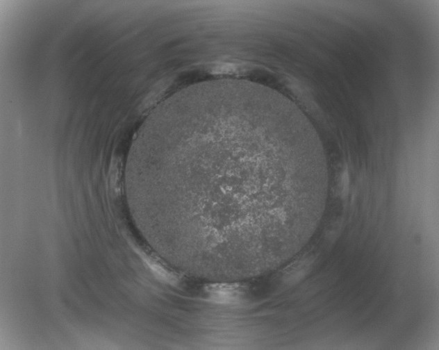 X0000081390273200701182240